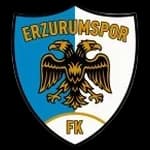 BB Erzurumspor